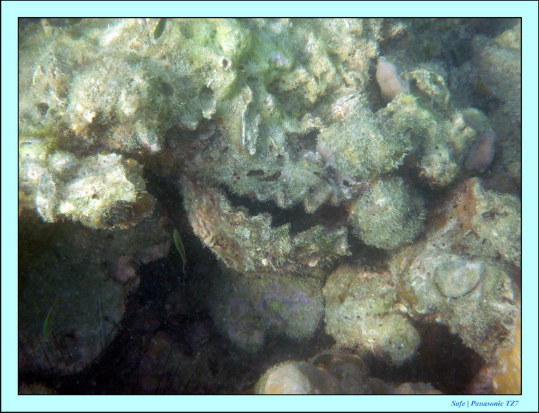 2011 - 03 - Koh Ngai 074